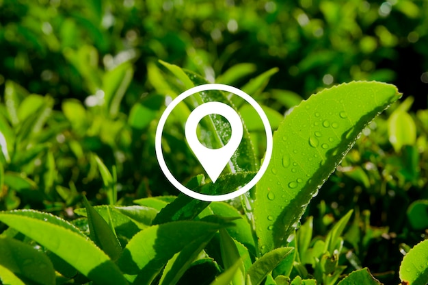 Calcul du rendement d’une installation photovoltaïque (kWh/kWc, PR) : méthodes, orientation–inclinaison et pertes onduleur pour optimiser l’autoconsommation