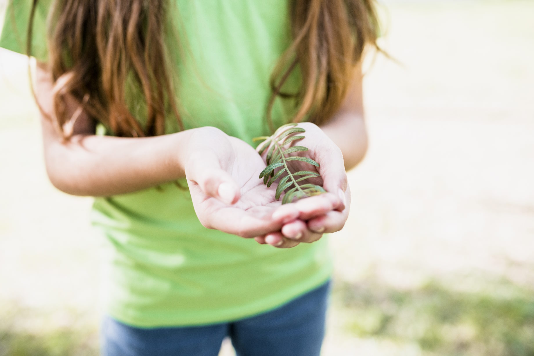 AFCC Reconnue garante de l'environnement